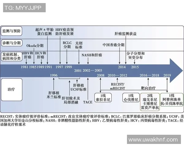 查论文足球的研究现状与发展趋势分析及未来展望